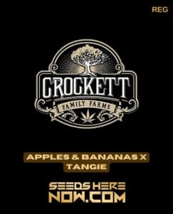 Apples & Bananas X Tangie (regular) - Crockett Family Farms