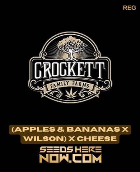 (apples & Bananas X Wilson) X Cheese (regular) - Crockett Family Farms
