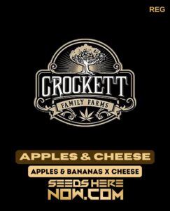 Apples & Cheese (regular) - Crockett Family Farms