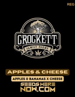 Apples & Cheese (Regular) - Crockett Family FarmsApples & Cheese (Regular) - Crockett Family Farms