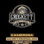 Camerosa (Regular) - Crockett Family Farms