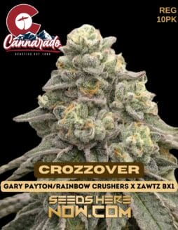 Cannarado Genetics - Crozzover {REG} [10pk]Cannarado Genetics - Crozzover {REG} [10pk]