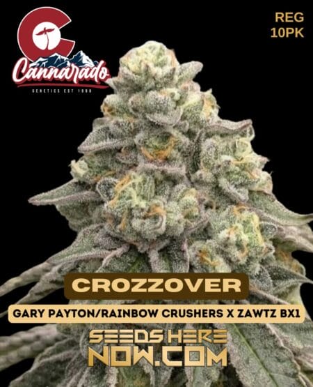 Cannarado genetics - crozzover {reg} [10pk]