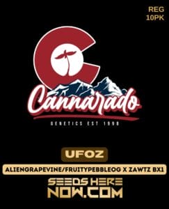 Cannarado Genetics - UFOz {REG} [10pk]