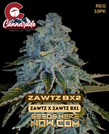 Cannarado Genetics - Zawtz Bx2 {reg} [10pk]