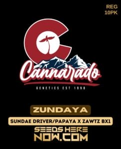 Cannarado Genetics - Zundaya {reg} [10pk]