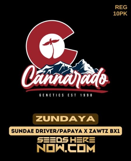 Cannarado Genetics - Zundaya {reg} [10pk]