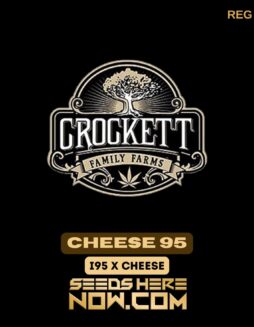 Cheese 95 (Regular) - Crockett Family FarmsCheese 95 (Regular) - Crockett Family Farms