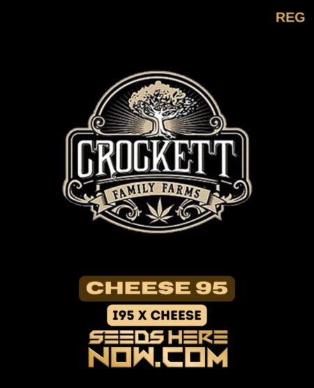 Cheese 95 (Regular) (space) Crockett Family Farms