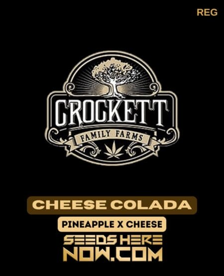 Cheese Colada (Regular) (space) Crockett Family Farms