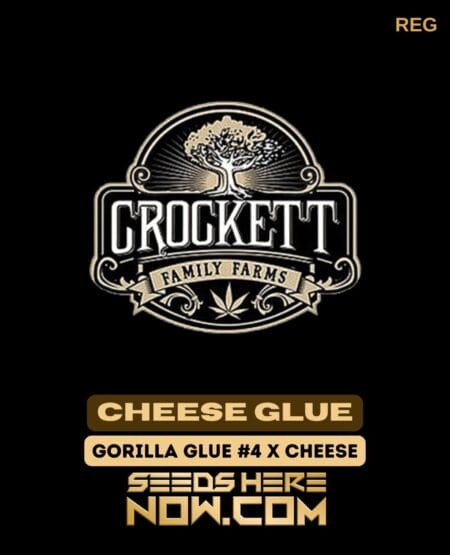 Cheese Glue (regular) - Crockett Family Farms
