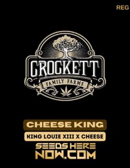 Cheese King (Regular) - Crockett Family FarmsCheese King (Regular) - Crockett Family Farms