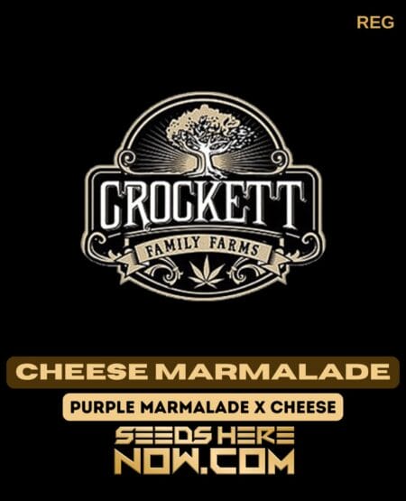 Cheese marmalade (regular) - crockett family farms