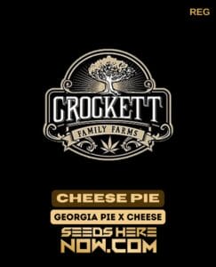 Cheese Pie (regular) - Crockett Family Farms