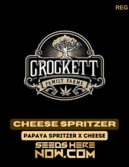 Cheese Spritzer (Regular) - Crockett Family FarmsCheese Spritzer (Regular) - Crockett Family Farms