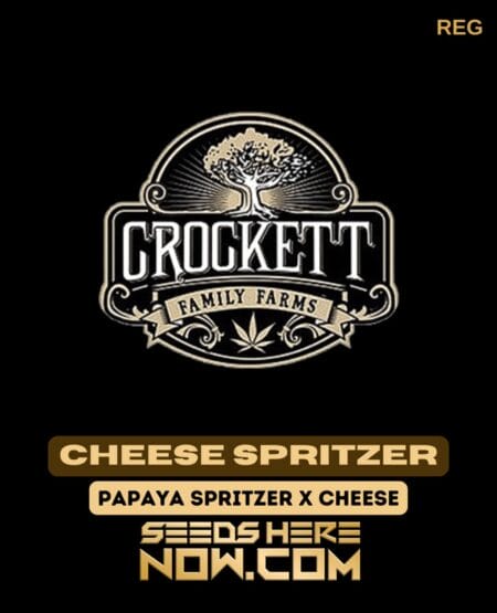 Cheese Spritzer (regular) - Crockett Family Farms