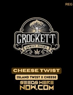 Cheese Twist (Regular) - Crockett Family FarmsCheese Twist (Regular) - Crockett Family Farms