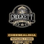 Cheesealoha (Regular) - Crockett Family Farms