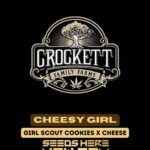 Cheesy Girl (Regular) - Crockett Family Farms