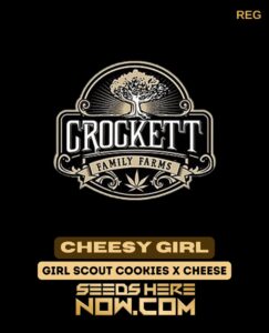 Cheesy Girl (regular) - Crockett Family Farms