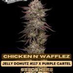 Chicken n' Wafflez (Feminized) - Humboldt Seed Company