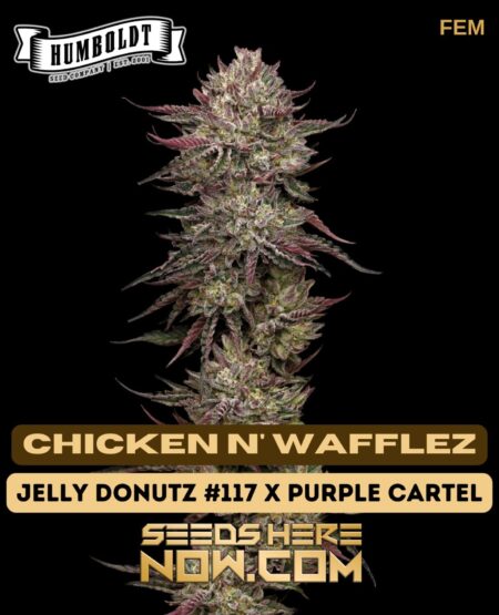 Chicken n' Wafflez (Feminized) (space) Humboldt Seed Company