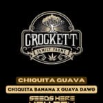Chiquita Guava (Regular) - Crockett Family Farms