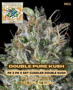 Freeborn Selections - Double Pure Kush {REG} [10pk]