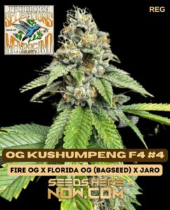 Freeborn Selections - OG Kushumpeng F4 #4 {REG} [10pk]