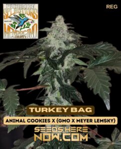 Freeborn Selections - Turkey Bag {REG} [12pk]