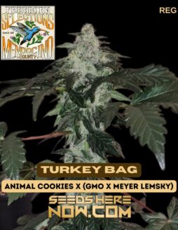 Freeborn Selections - Turkey Bag {REG} [12pk]Freeborn Selections - Turkey Bag {reg} [12pk]