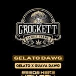 Gelato Dawg (Regular) - Crockett Family Farms