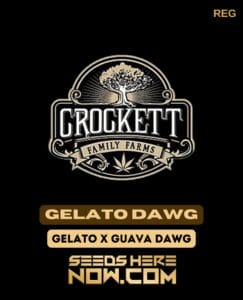 Gelato Dawg (regular) - Crockett Family Farms