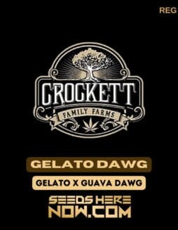 Gelato Dawg (Regular) - Crockett Family FarmsGelato Dawg (regular) - Crockett Family Farms