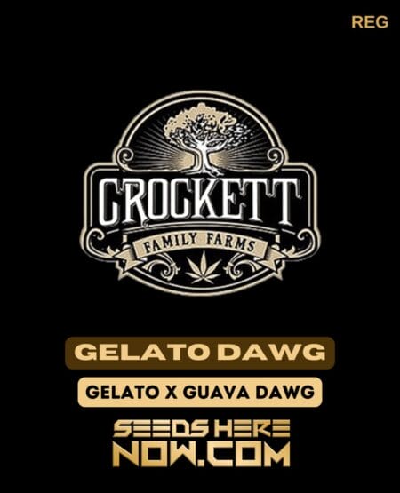 Gelato Dawg (regular) - Crockett Family Farms