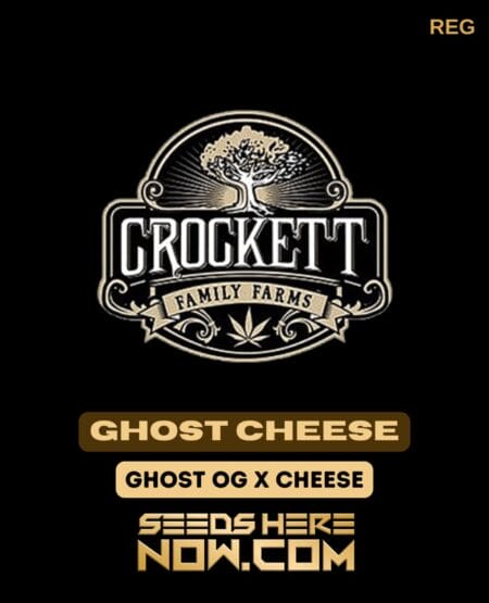 Ghost Cheese (regular) - Crockett Family Farms