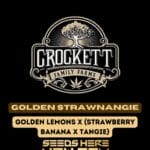 Golden Strawnangie (Regular) - Crockett Family Farms