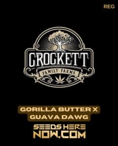 Gorilla Butter X Guava Dawg (regular) - Crockett Family Farms