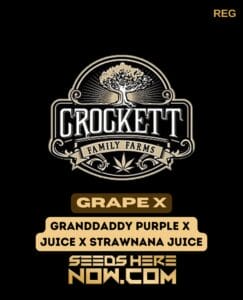 Grape X (regular) - Crockett Family Farms