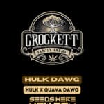 Hulk Dawg (Regular) - Crockett Family Farms