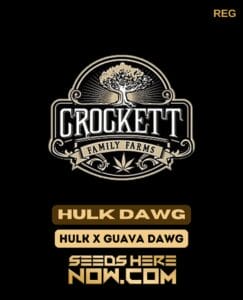 Hulk Dawg (regular) - Crockett Family Farms