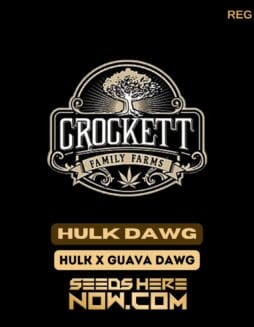 Hulk Dawg (Regular) - Crockett Family FarmsHulk Dawg (Regular) - Crockett Family Farms