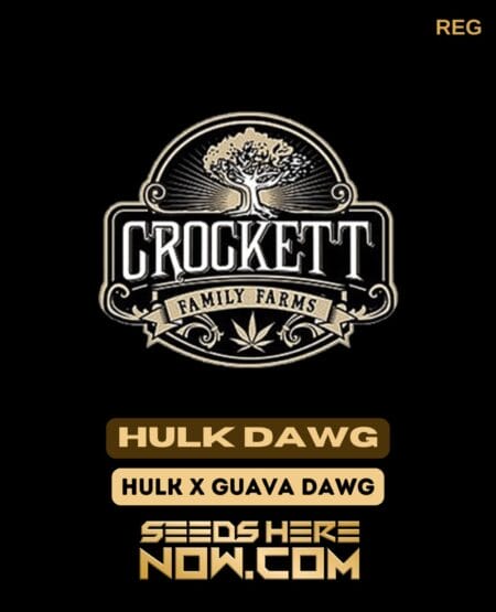 Hulk Dawg (Regular) (space) Crockett Family Farms