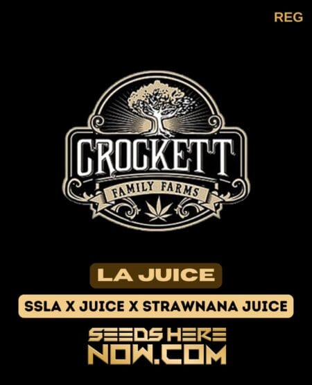 LA Juice (Regular) (space) Crockett Family Farms