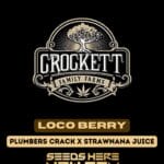 Loco Berry (Regular) - Crockett Family Farms