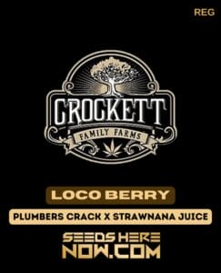 Loco Berry (Regular) - Crockett Family FarmsLoco Berry (regular) - Crockett Family Farms