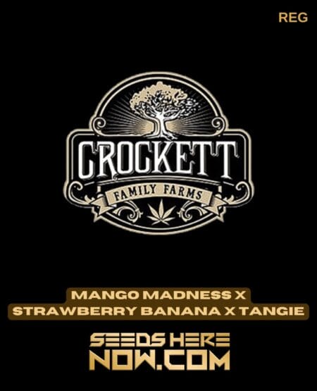 Mango Madness X Strawberry Banana X Tangie (regular) - Crockett Family Farms