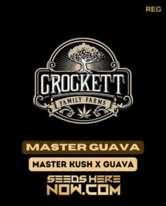 Master Guava (regular) - Crockett Family Farms