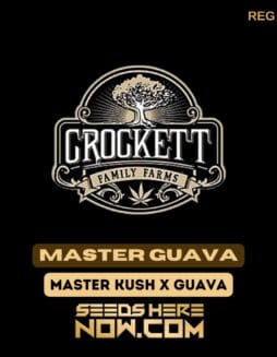 Master Guava (Regular) - Crockett Family FarmsMaster Guava (Regular) - Crockett Family Farms