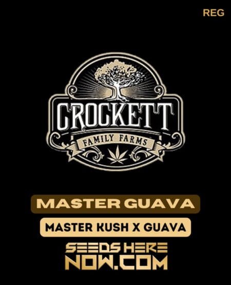 Master Guava (regular) - Crockett Family Farms